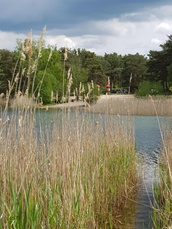 Hüttendorf für Euch alleine - geführter Yachtausflug nach Prieros inclusive! Groß Köris Exterior foto